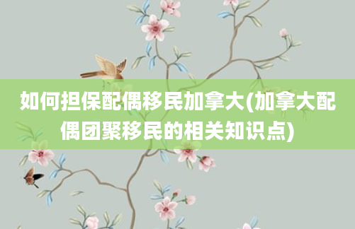 如何担保配偶移民加拿大(加拿大配偶团聚移民的相关知识点)