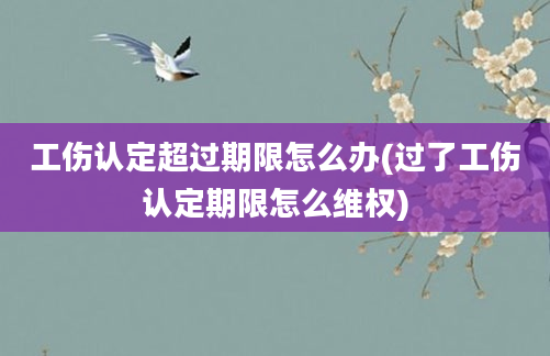 工伤认定超过期限怎么办(过了工伤认定期限怎么维权)