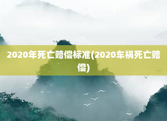 2020年死亡赔偿标准(2020车祸死亡赔偿)