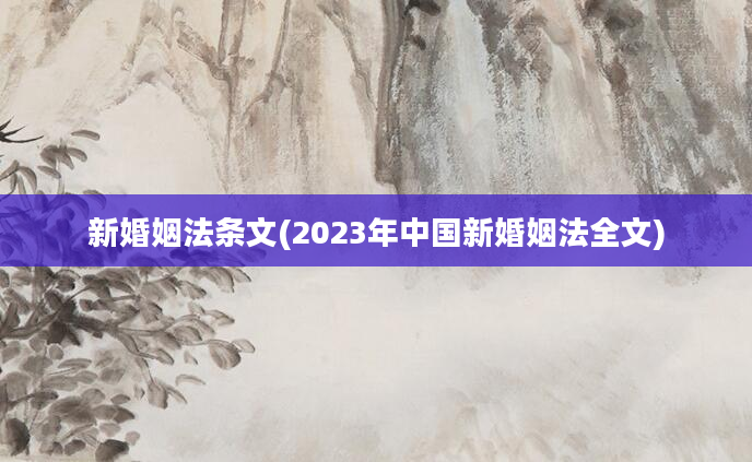 新婚姻法条文(2023年中国新婚姻法全文)