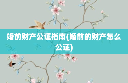 婚前财产公证指南(婚前的财产怎么公证)