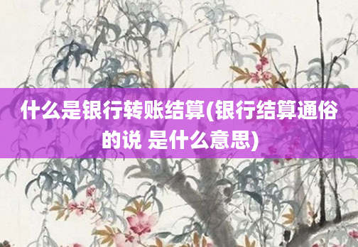 什么是银行转账结算(银行结算通俗的说 是什么意思)