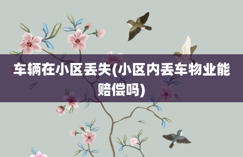 车辆在小区丢失(小区内丢车物业能赔偿吗)