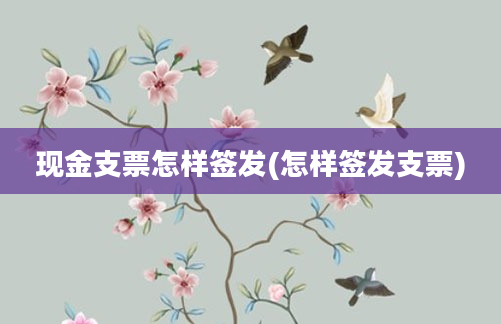 现金支票怎样签发(怎样签发支票)