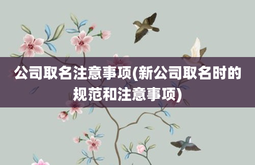 公司取名注意事项(新公司取名时的规范和注意事项)