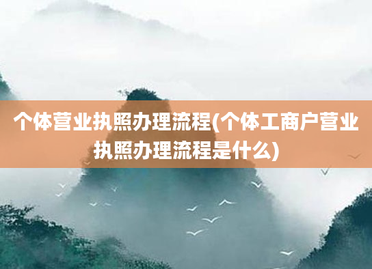 个体营业执照办理流程(个体工商户营业执照办理流程是什么)