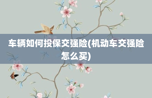 车辆如何投保交强险(机动车交强险怎么买)