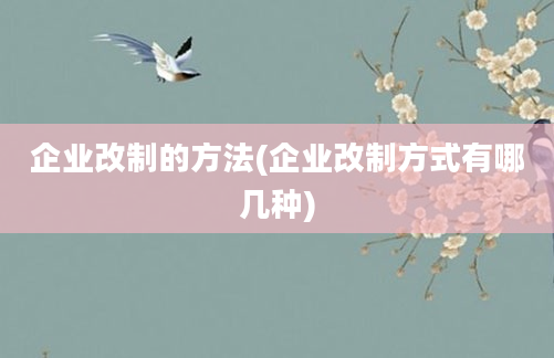 企业改制的方法(企业改制方式有哪几种)