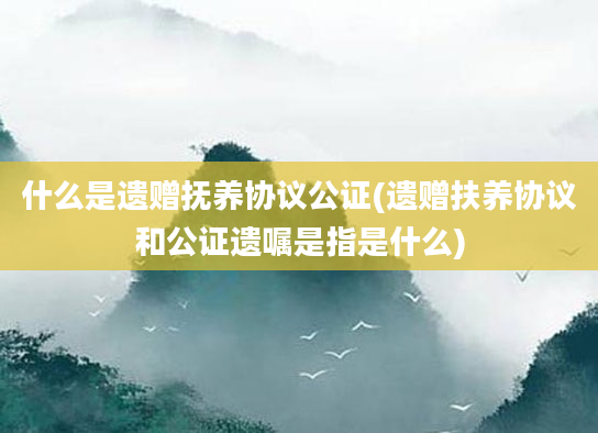 什么是遗赠抚养协议公证(遗赠扶养协议和公证遗嘱是指是什么)