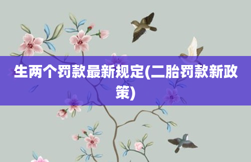 生两个罚款最新规定(二胎罚款新政策)