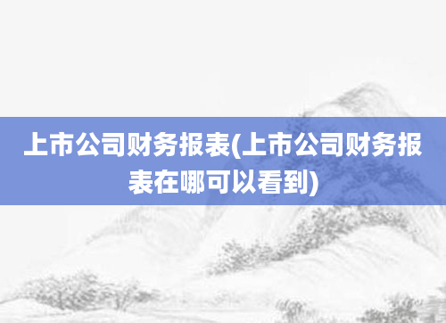 上市公司财务报表(上市公司财务报表在哪可以看到)