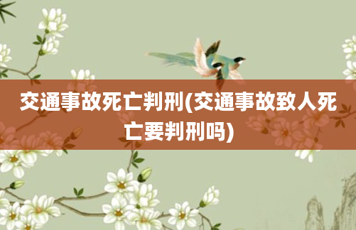 交通事故死亡判刑(交通事故致人死亡要判刑吗)