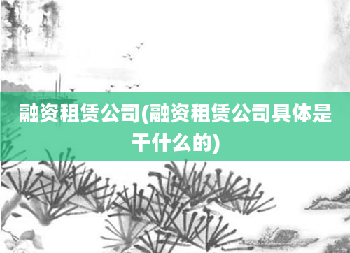 融资租赁公司(融资租赁公司具体是干什么的)