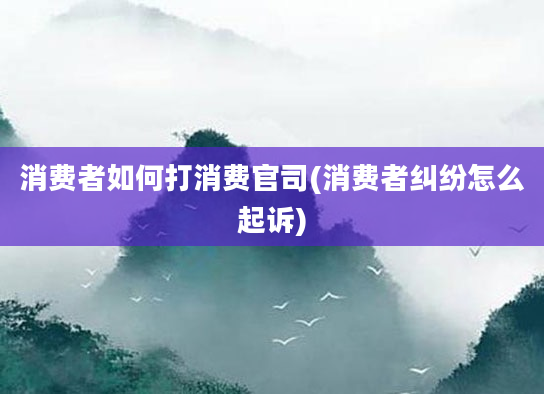 消费者如何打消费官司(消费者纠纷怎么起诉)