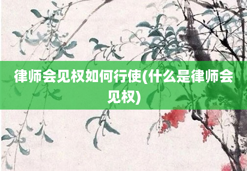 律师会见权如何行使(什么是律师会见权)