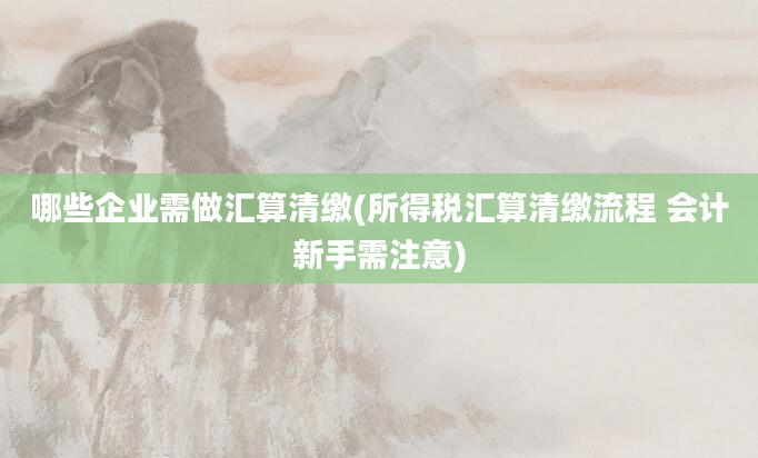 哪些企业需做汇算清缴(所得税汇算清缴流程 会计新手需注意)