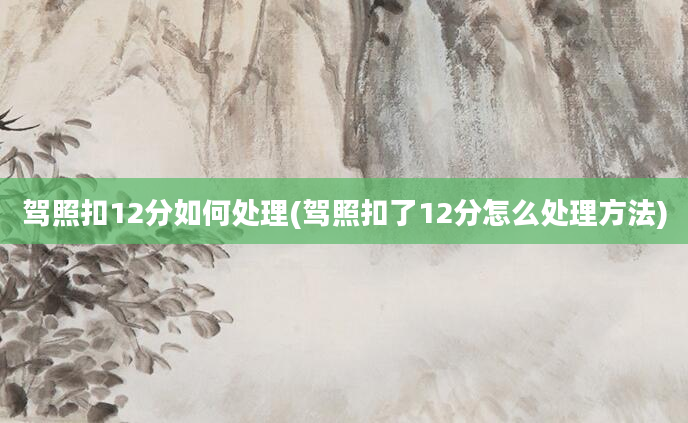 驾照扣12分如何处理(驾照扣了12分怎么处理方法)