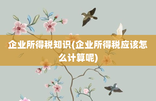 企业所得税知识(企业所得税应该怎么计算呢)