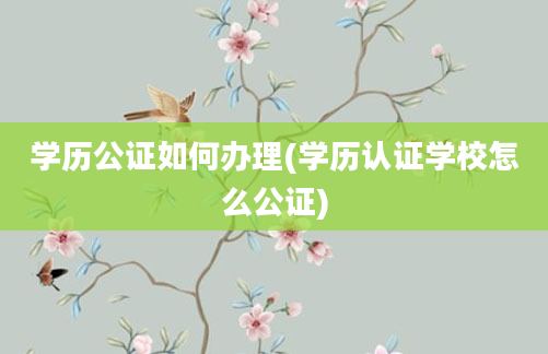 学历公证如何办理(学历认证学校怎么公证)