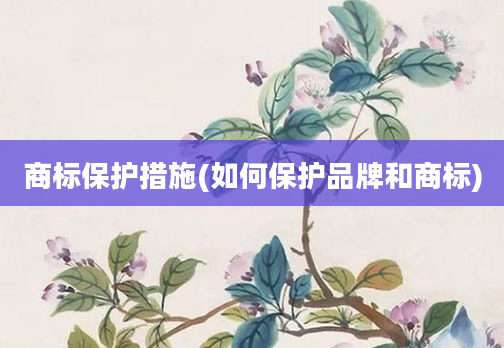 商标保护措施(如何保护品牌和商标)