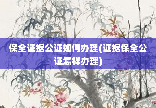 保全证据公证如何办理(证据保全公证怎样办理)