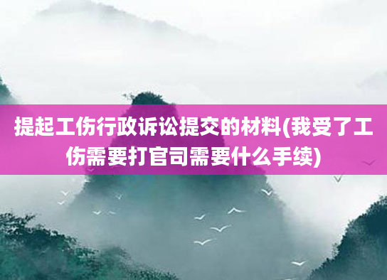 提起工伤行政诉讼提交的材料(我受了工伤需要打官司需要什么手续)