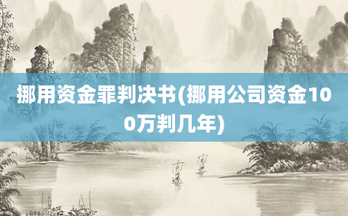 挪用资金罪判决书(挪用公司资金100万判几年)