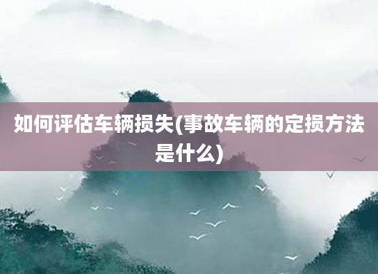 如何评估车辆损失(事故车辆的定损方法是什么)