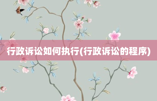 行政诉讼如何执行(行政诉讼的程序)