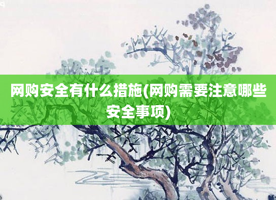 网购安全有什么措施(网购需要注意哪些安全事项)