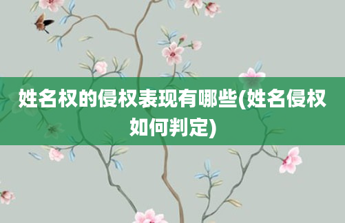 姓名权的侵权表现有哪些(姓名侵权如何判定)