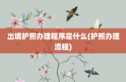 出境护照办理程序是什么(护照办理流程)