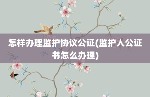 怎样办理监护协议公证(监护人公证书怎么办理)