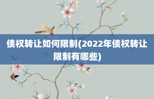 债权转让如何限制(2022年债权转让限制有哪些)