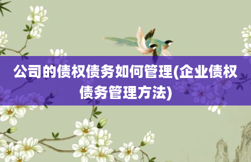 公司的债权债务如何管理(企业债权债务管理方法)