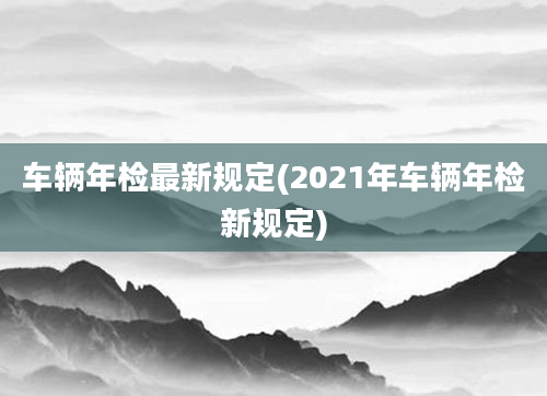 车辆年检最新规定(2021年车辆年检新规定)