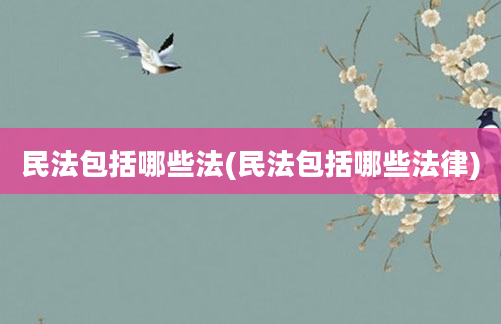 民法包括哪些法(民法包括哪些法律)