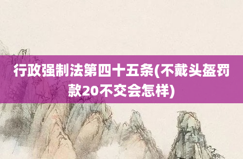 行政强制法第四十五条(不戴头盔罚款20不交会怎样)