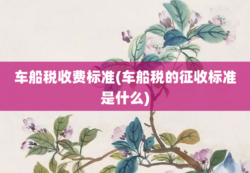 车船税收费标准(车船税的征收标准是什么)