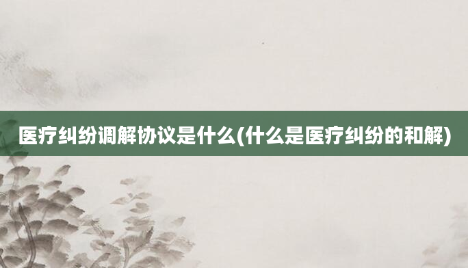 医疗纠纷调解协议是什么(什么是医疗纠纷的和解)