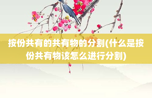 按份共有的共有物的分割(什么是按份共有物该怎么进行分割)