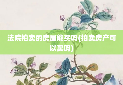 法院拍卖的房屋能买吗(拍卖房产可以买吗)