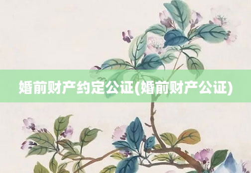 婚前财产约定公证(婚前财产公证)