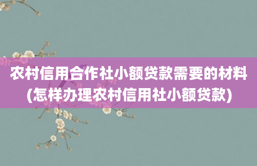 农村信用合作社小额贷款需要的材料(怎样办理农村信用社小额贷款)