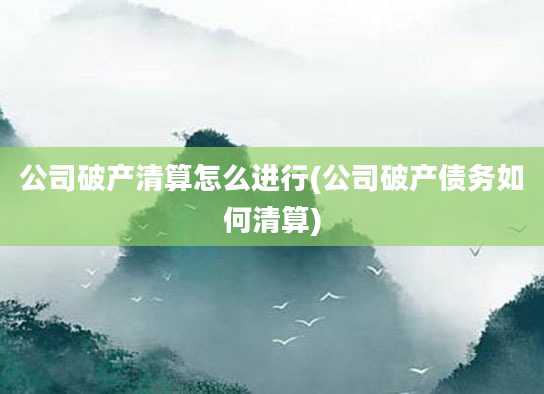 公司破产清算怎么进行(公司破产债务如何清算)