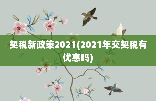 契税新政策2021(2021年交契税有优惠吗)