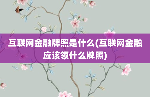 互联网金融牌照是什么(互联网金融应该领什么牌照)