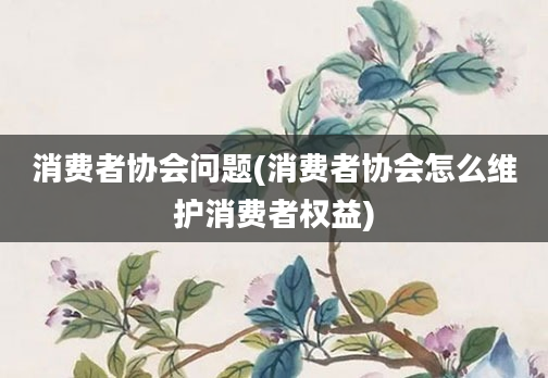 消费者协会问题(消费者协会怎么维护消费者权益)