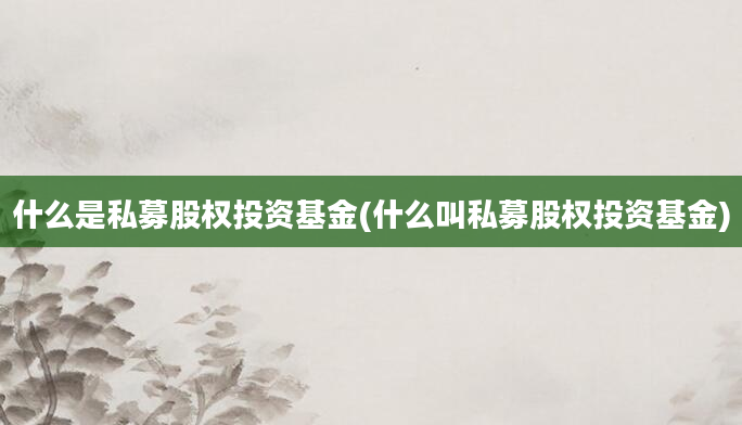 什么是私募股权投资基金(什么叫私募股权投资基金)