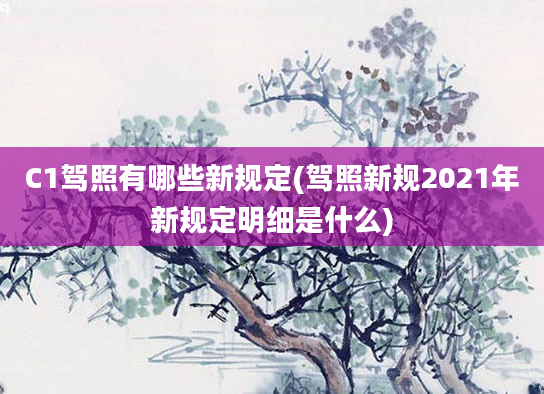 C1驾照有哪些新规定(驾照新规2021年新规定明细是什么)